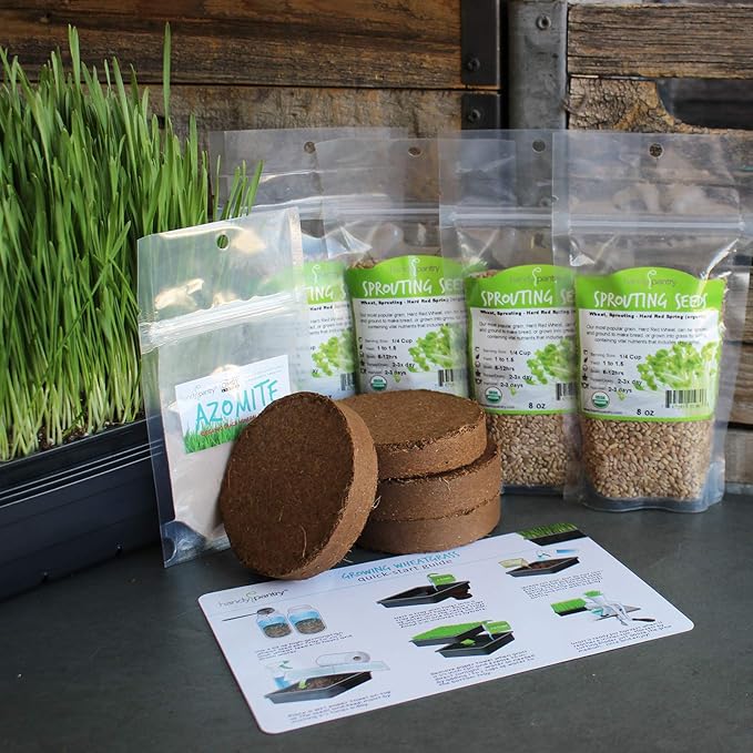 Organic Wheatgrass Growing Starter Kit - Grow &amp Juice Wheat Grass - Includes Non-GMO Organic Wheatgrass Seeds - for Healthy Wheatgrass Shots Home Garden and Cat Grass