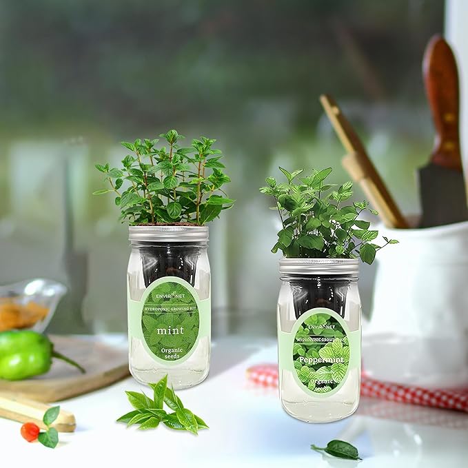 2-Pack Hydroponic Mason Jar Herb Garden Kit Indoor Herb Garden Self-Watering Starter Kit New Christmas Gift for Mom (MintPeppermint)