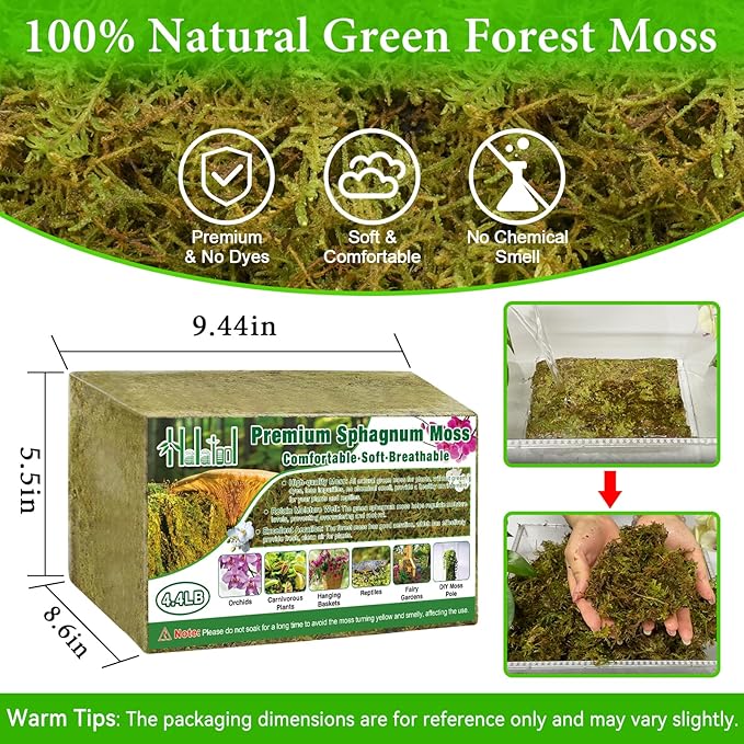 Halatool 4.4LB Green Forest Moss Natural Sphagnum Moss for Plants Fluffy Orchid Moss for Orchids Repotting Dried Plant Moss for Potted Plants Indoor &amp Outdoor