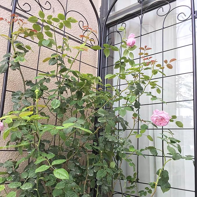 Garden Trellis 2 Pack Metal Garden Trellis for Climbing Plants Outdoor 86.7'' x 19.7'' Rustproof Plant Support Rose Trellis Netting Trellis
