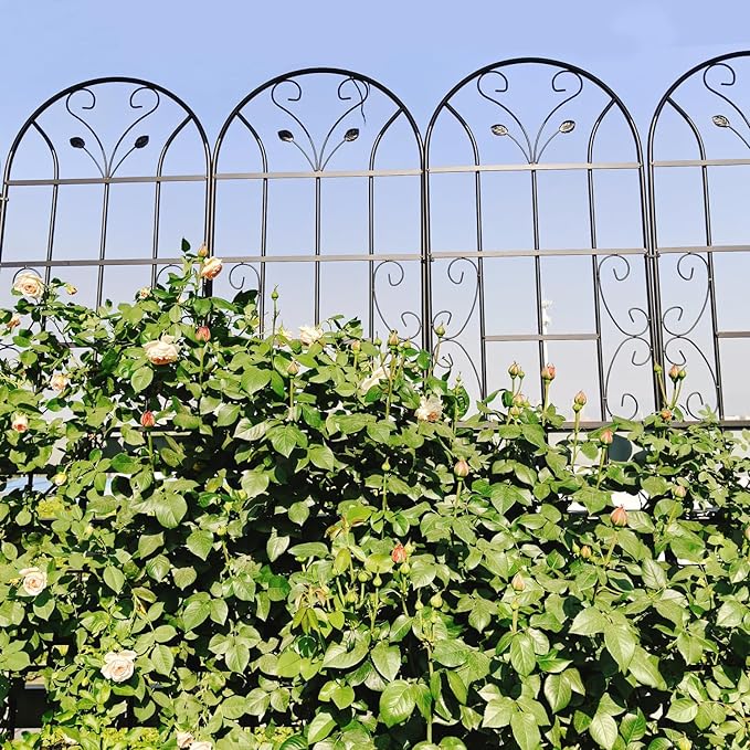 2 Pack Metal Garden Trellis 86.7 X 19.7 Rust-Resistant Trellis for Climbing Plants Outdoor Flower Support Black Black Outdoor Ready
