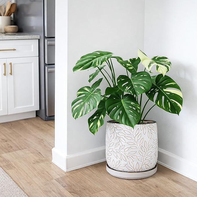 D'vine Dev 10 Inch Embossed Leaves Stoneware Planter Pot with Drainage Hole and Saucer Smoked White 27-A-P-1