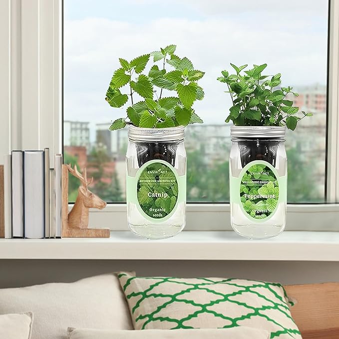 2-Pack Hydroponic Mason Jar Herb Garden Kit Indoor Herb Garden Self-Watering Starter Kit New Christmas Gift for Mom (CatnipPeppermint)