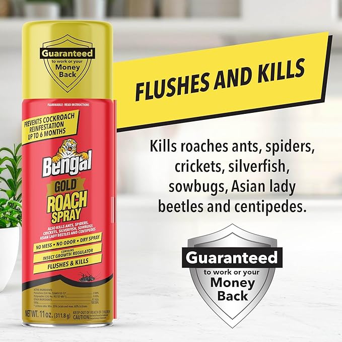 Bengal Gold Roach Spray - Odorless Stain-Free Bug Spray for Home - Prevents Reinfestation for Up to 6 Months - 11 oz 2 Pack
