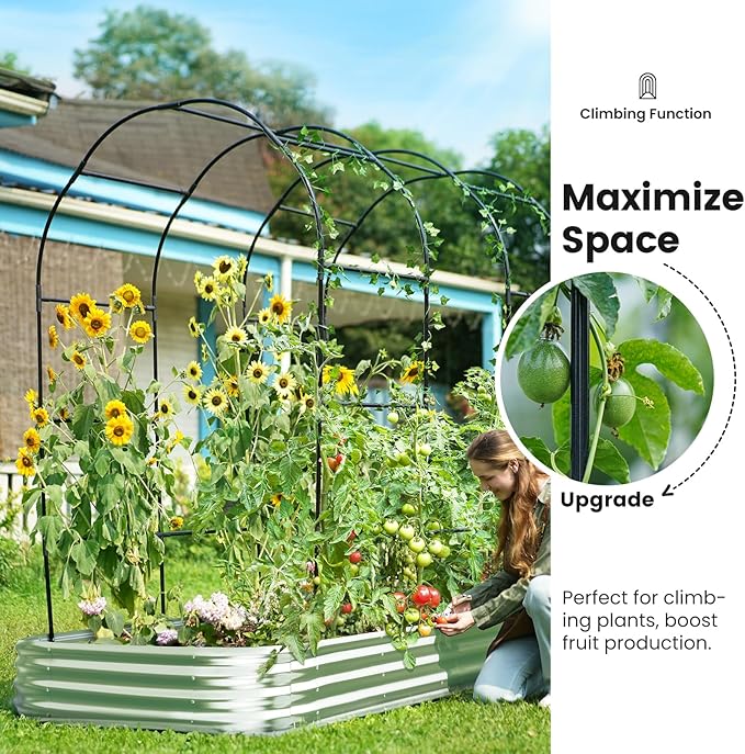 KING BIRD Raised Garden Bed with Arched Trellis Galvanized Planter Garden Box Outdoor for Gardening Climbing Vegetables Flowers 7.87x3.94x0.98 Ft Silver