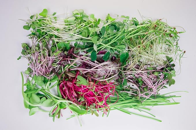 Indoor Garden Fully Automated LED Growing Unit for Microgreens Herbs Leafy Greens Organic Soil-Based Low/No Maintenance Easy Standalone Unit Designed &amp Assembled in The USA