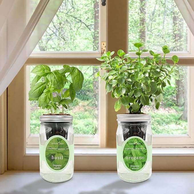 2-Pack Hydroponic Mason Jar Herb Garden Kit Indoor Herb Garden Self-Watering Starter Kit (BasilOregano)