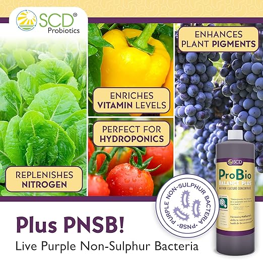 ProBio Balance Plus - Make 20X More Soil Conditioner Super Concentrate of Effective Beneficial Microorganisms &amp PNSB Phototrophs - OMRI Listed for Organic Farm Lawn Garden - 1 Liter (4 Pack)