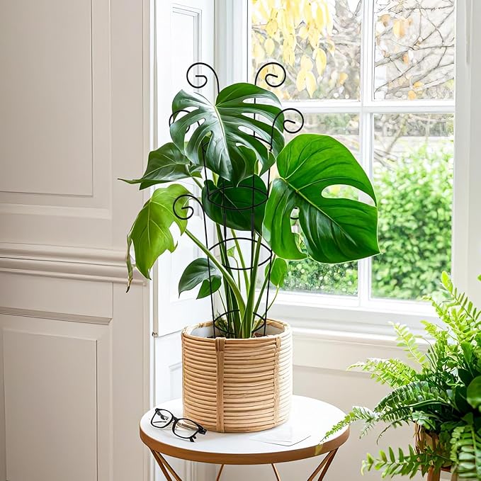 4 Pack 30 Inch Tall Metal Plant Trellis for Climbing Plants Indoor - Rustproof Garden Trellis for Potted Houseplants Sturdy Support for Ivy Pothos Monstera Hoya &amp Flower Vines