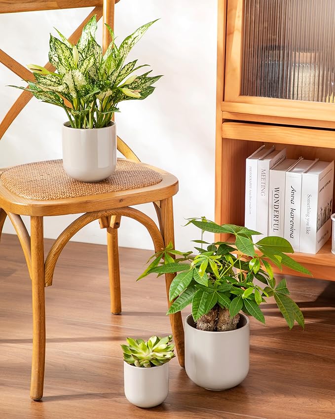 vancasso Ceramic Plant Pots 4+5+6 inches Set of 3 Planters with Drainage Hole Flower Pots Planters Pots for Indoor Plants Modern Indoor Decorative Garden Pot Home Decor Gray
