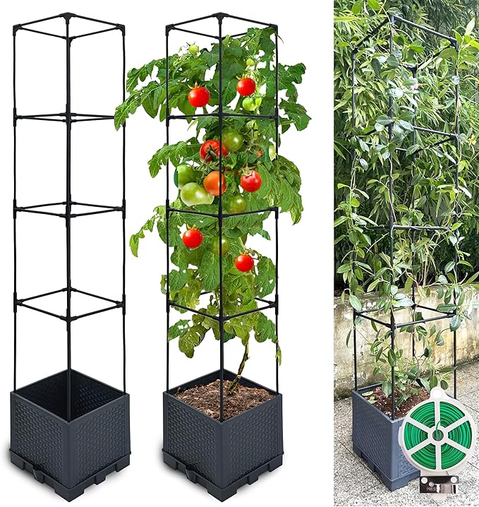 Raised Garden Bed Planter Box 2 Pack 56 Self-Watering Tomato Planter with Trellis for Climbing Vegetables Plants Grape Fruit FlowersUse for Indoor Outdoor Garden Patio