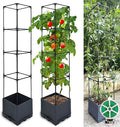 Raised Garden Bed Planter Box 2 Pack 56 Self-Watering Tomato Planter with Trellis for Climbing Vegetables Plants Grape Fruit FlowersUse for Indoor Outdoor Garden Patio