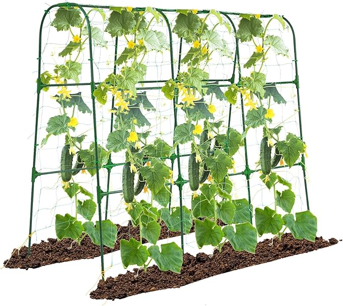 Garden Trellis for Climbing Plants Outdoor Cucumber Trellis for Raised Bed Garden Arch Trellis Support for Cucumbers Tomatoes Beans Peas 50x48 inch Metal Trellis with Netting Green