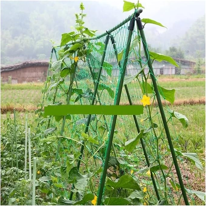 1Pcs 180cmx360cm Green Plant Climbing Netting Nylon Plant Trellis for Garden Vine Climbing Vegetable Loofah Flowers Growing (Color : Green Size : 180 X 360cm(Nylon))