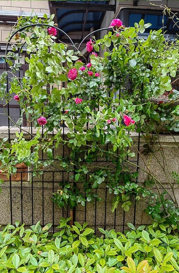 5.9/6.5/7.2ft Iron Garden Trellis Rustproof Sturdy Trellis for Patio Lawn Yard Backyard Wall Brackets(Color:GreenSize:200cm(6.5ft))