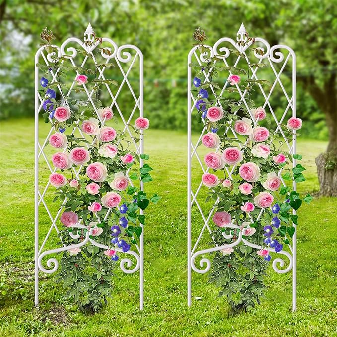 AMAGABELI GARDEN &amp HOME 2 Pack 60” x 18” Garden Trellis for Climbing Plants Outdoor Trellis for Climbing Roses Plant Trellis Vegetables and Flower Vine White Trellis for Ivy Cucumbers