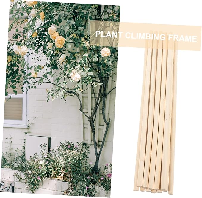 BESTonZON 50pcs Climbing Plant Trellis for Garden Support Natural and Stable Plant Stakes for Vines Flowers and Vegetables Easy Installation for Healthy Growth