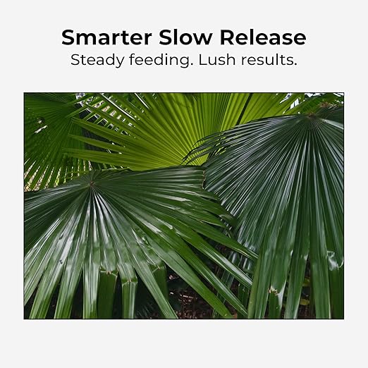 Real Growers Palm Tree Fertilizer 12-4-11 | 12-Month Slow Release Granular Plant Food for Queen Palm Sago Palm Date Palm Cycad | 5 lb