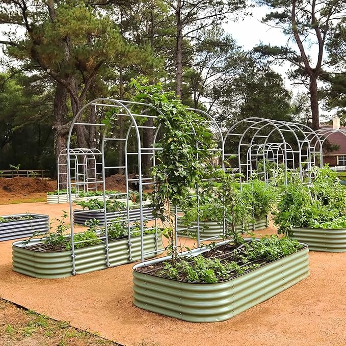 Vego Garden Modular Arched Trellis System Single Section 3.0' Long Trellis for Classic Garden Bed for Climbing Plants Like Cucumber Beans Tomatoes &amp Vines (Garden Beds Not Included)