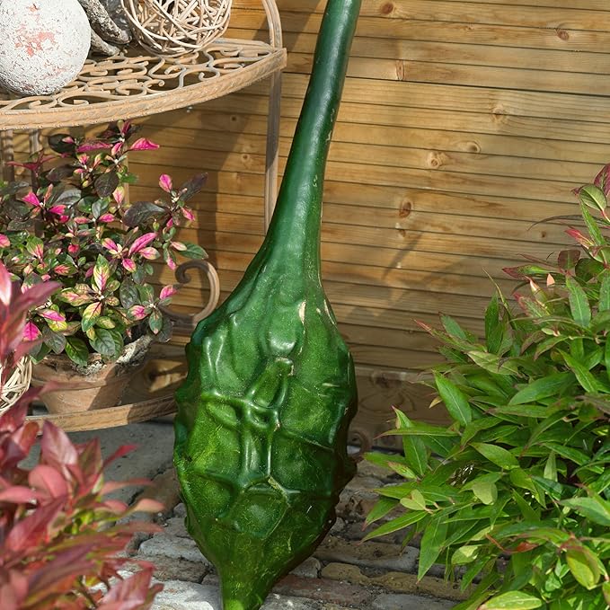 Caveman’s Club Gourd 5 Lb ~10800 Seeds – Maranka Heirloom Variety – 120 Days – Non-GMO Annual – 10–16 Long Curved Gourds – Edible When Young – Trellis Support Recommended