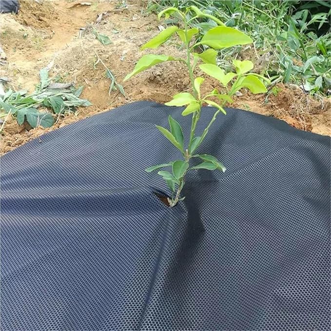 Weed Fabric Tree Protection Weed Mats Ecological Control Cloth Mulch Ring Round Weed Barrier Plant Cover for Road Construction Projects(5pcs)