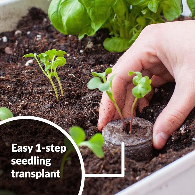 Jiffy Plant Starter Pellets - Compact Organic Seedling Peat Pellets Refill - 42mm 5 Pack Peat Soil