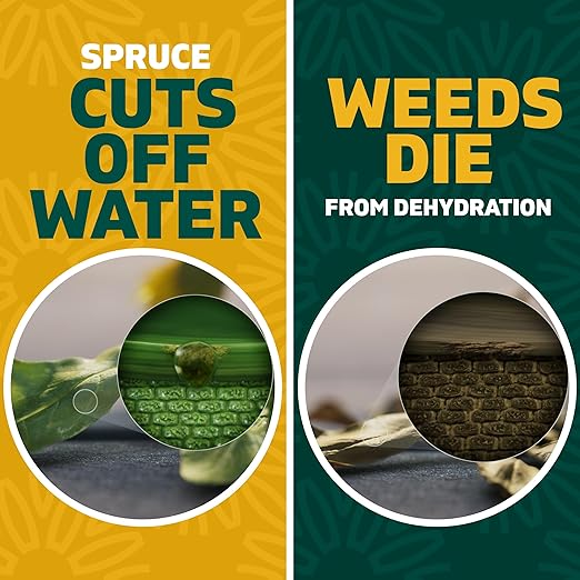 Spruce Weed Killer Spray - Snap &amp Spray Weed &amp Grass Killer₂ Powered Starter Kit - Reusable Sprayer with Wand for Spot-Treating Driveways Gardens &amp More (64 Oz Bottle)