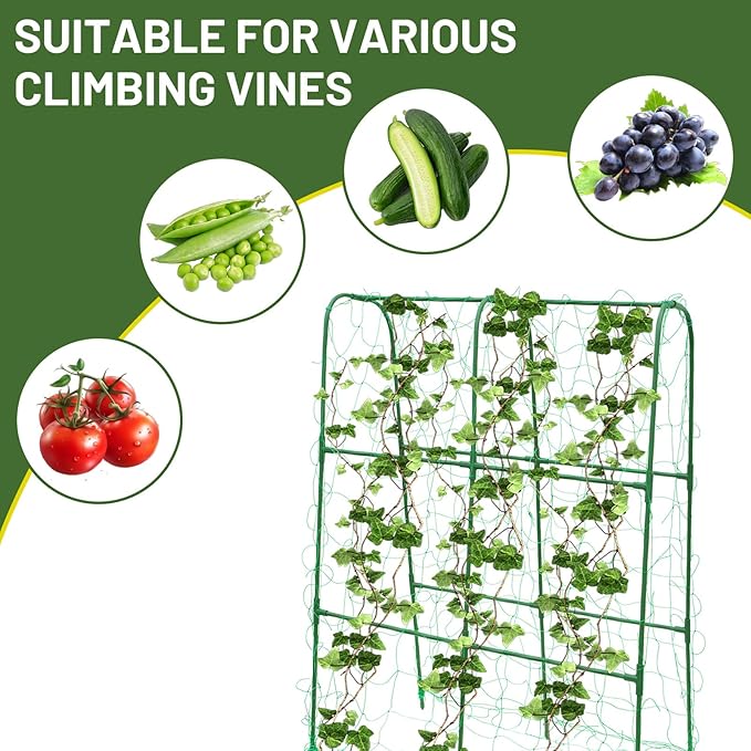 Compact U-Shaped Plant Trellis for Peas Beans &amp Light Climbing Plants - Rust-Resistant Foldable Design Lightweight Steel Ideal for Raised Beds &amp Patio Gardens(31 W x 47 H)
