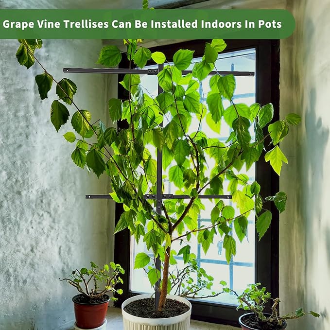 4 Pack Metal Detachable Raspberry &amp Grape Vine Trellis for Climbing Plants Heavy-Duty 7 Ft Tall Large Vineyard Trellis Support Sturdy Garden Stakes for Outdoor Raised Beds Vegetables Fruits Flow