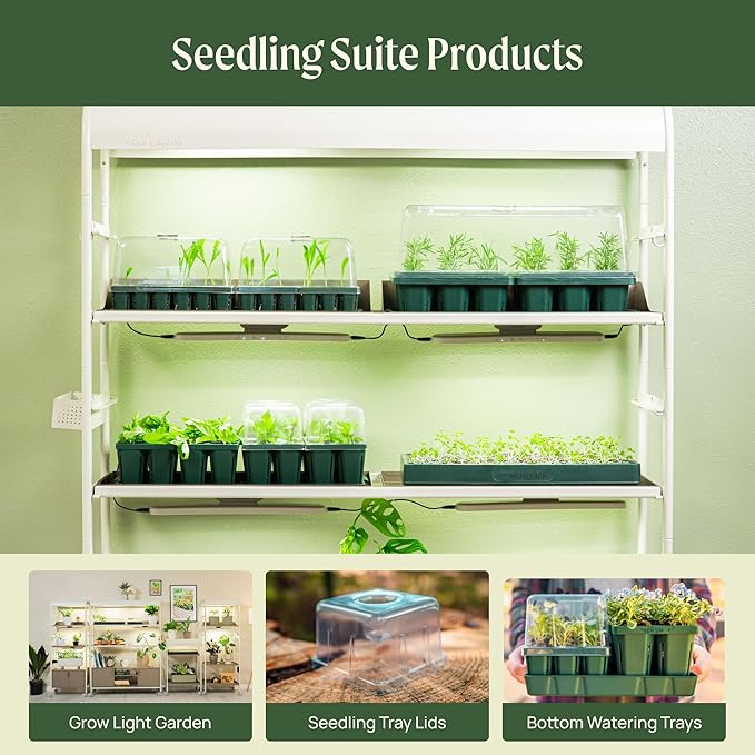 Vego garden 10 x 20 76 Cells Seed Starter Tray Stackable Seedling Starting Germination Trays for Plants Planting Vegetables Herbs Flowers 4 Sets