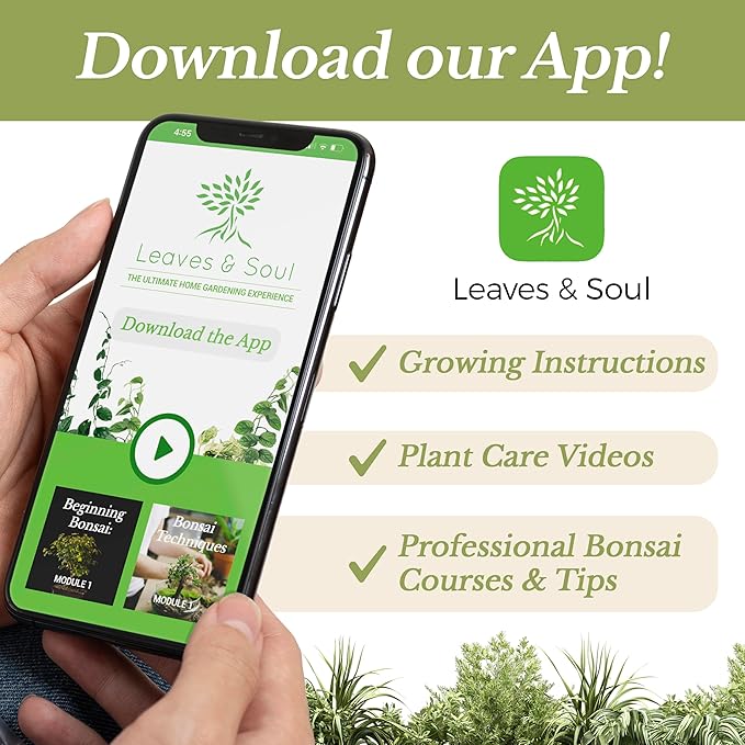 Professional Peace Lily Soil | Large 8.2 Quarts Ready to Use for Peace Lily Plants | Peat Moss Coco Coir Perlite Dolomite | Made in USA