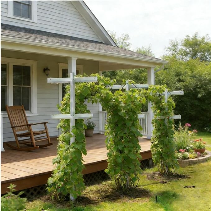 Mr Garden 5-Feet Garden Trellis 2pack Set for Raspberry and Climbing Plants Heavy Duty Outdoor Stake Vineyard Trellis Fiberglass Rust-Proof 2 Cross-bar Adjustable Height (2 Trellises)