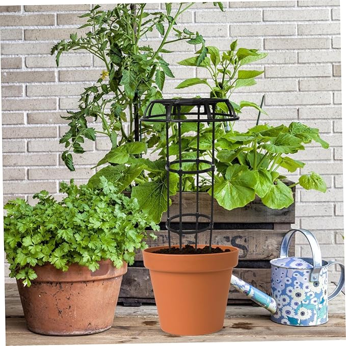 Plant Support Rack Garden Trellis for Climbing Plants Polished No Burrs