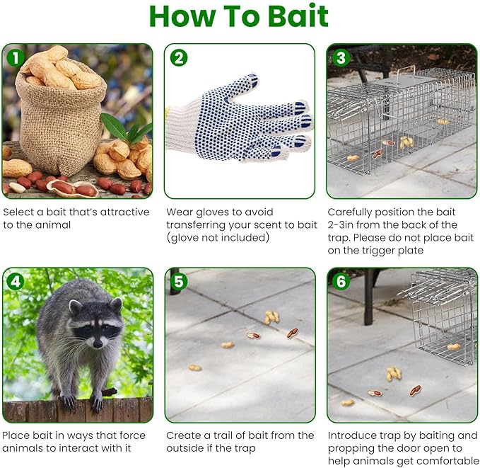 Live Animal Cage Trap 23.3x7.2x7.7 Inches Humane Cat Trap for Stray Cats Outdoor Heavy Duty Foldable Raccoon Traps Humane Catch &amp Release Live Traps for Rabbits Squirrels