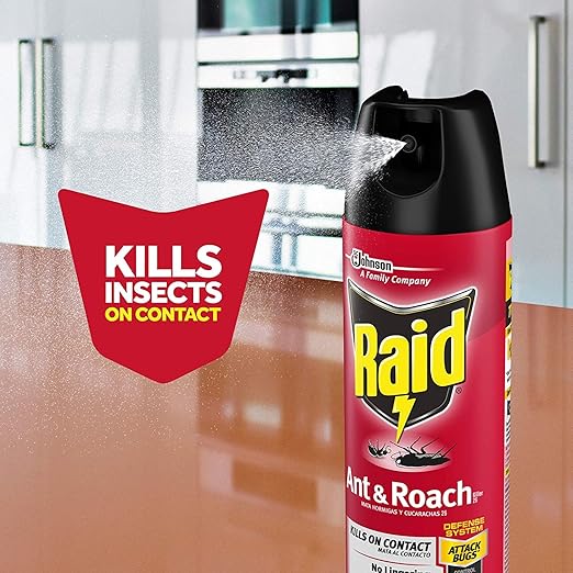 Raid Ant and Roach Kills on Contact No Lingering Chemical Odor Outdoor Fresh Scent 12 Oz (Pack of 3)