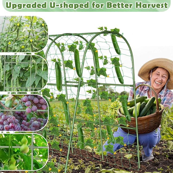 Cucumber Trellis for Raised Bed Garden Arch Trellis for Climbing Plants Outdoor Metal Garden Trellis for Spring Vegetables Cucumber Trellis for Spring Tomato Bean Pea Grape Plant