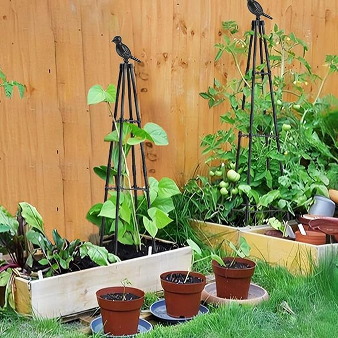 Trellis for Climbing Plants | Metal Obelisk Vertical Frame | 160cm Climbing Potted Garden Trellisfor Tomato Grape Cucumber Pea Vines Vegetable Flower Potted Indoor Outdoor