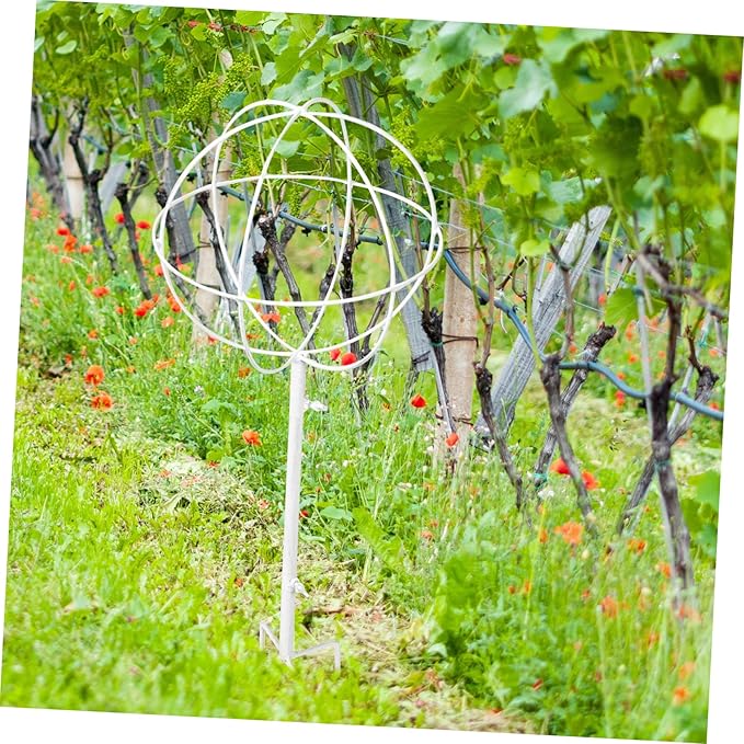Garden Trellis for Vegetables Plant Support Sticks Iron Plant Trellis for Houseplants