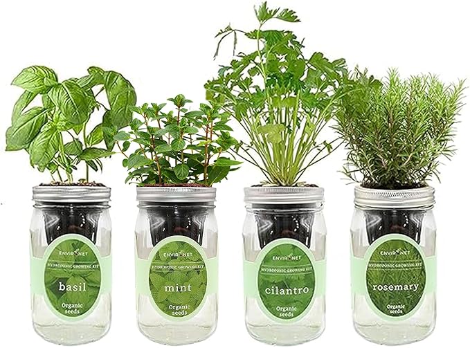 Hydroponic Herb Growing Kit Set Self-Watering Mason Jar Herb Garden Starter Kit Indoor Grow 4 Kinds of Herbs from Seeds (Basil Mint Cilantro &amp Rosemary)
