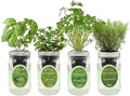 Hydroponic Herb Growing Kit Set Self-Watering Mason Jar Herb Garden Starter Kit Indoor Grow 4 Kinds of Herbs from Seeds (Basil Mint Cilantro &amp Rosemary)