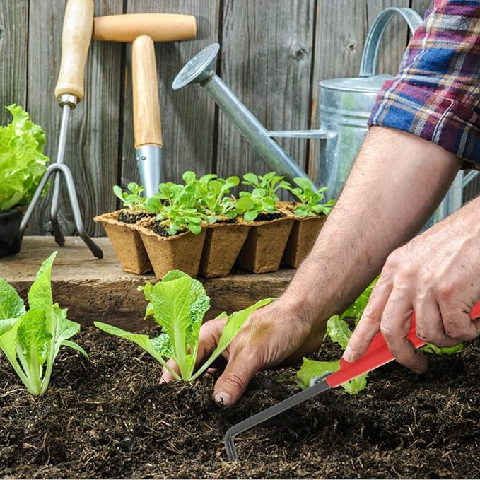 TEHAUX 5pcs Garden Tool Set with Pruning Scissors Rake and Hand Trowel for Bonsai and Potted Plants Sturdy Gardening Hand Tools Kit for Soil Loosening and Plant Trimming in Backyard