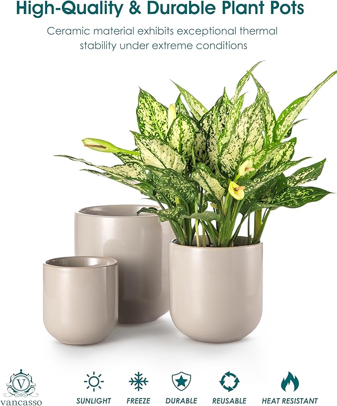 vancasso Ceramic Plant Pots 4+5+6 inches Set of 3 Planters with Drainage Hole Flower Pots Planters Pots for Indoor Plants Modern Indoor Decorative Garden Pot Home Decor Gray