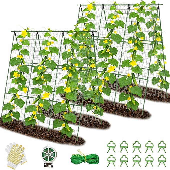 Cucumber Trellis for Raised Bed 48 L x 48 H 2 Pack A-Shape 11mm Garden Trellis for Climbing Plants Outdoor Metal Arch Trellis for Vegetables Plant Support for Tomato Pea Zucchini Grape Flowers