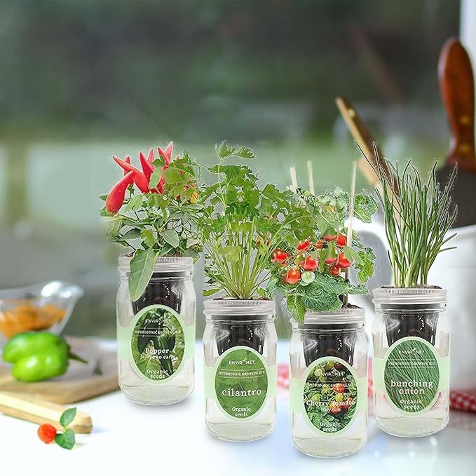Hydroponic Mason Jar Indoor Garden Organic Seed Starter Kits - Zesty Salsa Growing Kits Gardening Gift (Jalapeno Pepper Cilantro Cherry Tomato - Tiny Tim Bunching Onion)