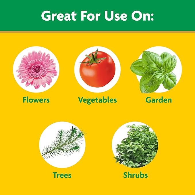 Miracle-Gro Water Soluble Tomato Plant Food and Garden Feeder Bundle Hose-End Feeding System for Vegetable Plants in Outdoor Gardens