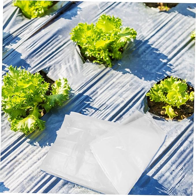 BESPORTBLE Insulated Tarp for Plant Cold Cover Heavy Plastic Sheeting Tree Protection Cover Window Sealing