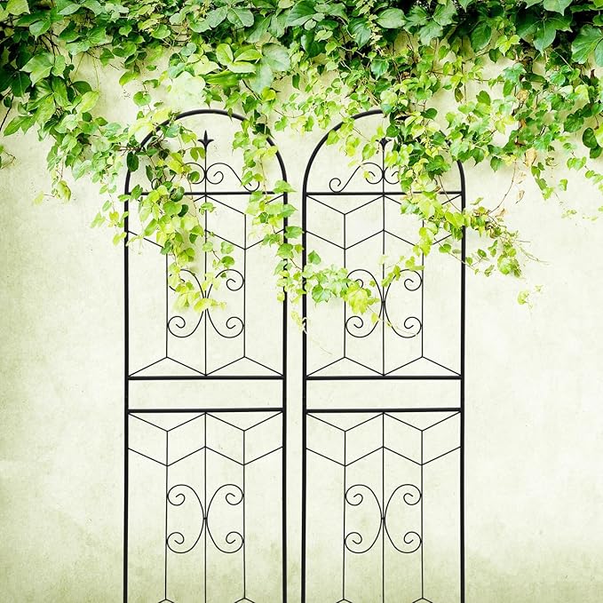 4 Pack Rustproof Metal Garden Trellis 71 x 19.7 for Climbing Plants and Outdoor Decor