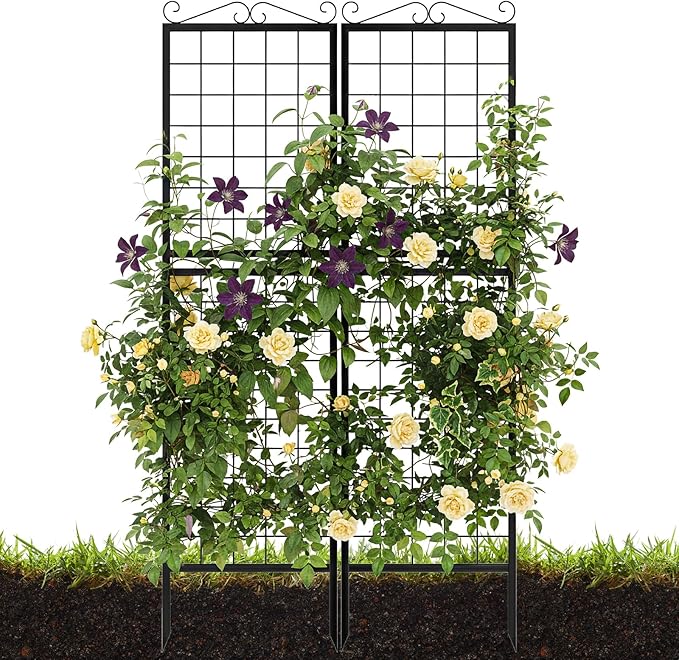 2 Pack 71 Inch Metal Garden Trellis for Climbing Plants Thickened Square Tube Metal Garden Trellis for Vines Plant Rose Vegetable SupportLarge Decorative Outdoor Trellis