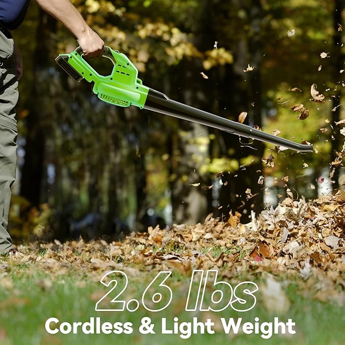20V Leaf Blower Cordless with 2 Battery and Charger 135MPH 175CFM High Speed Blower with 2 Tubes Electric Leaf Cleaner Lightweight Handheld Small Blower for Patio Garden House Depot Green