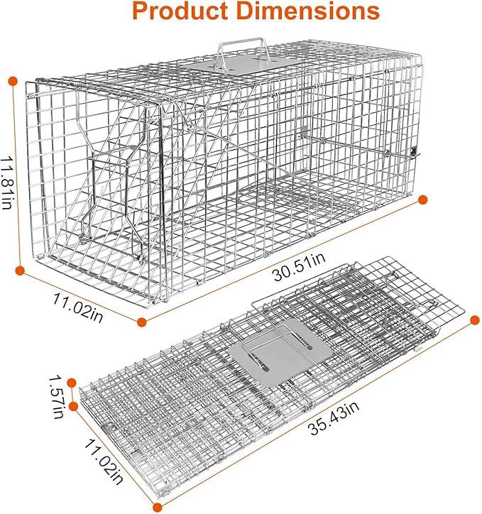31 Humane Live Animal Cage Trap Heavy Duty Folding Cat Trap for Stray Cats Raccoons Squirrels Skunks Groundhogs Moles Opossums Rabbits and More – Catch and Release